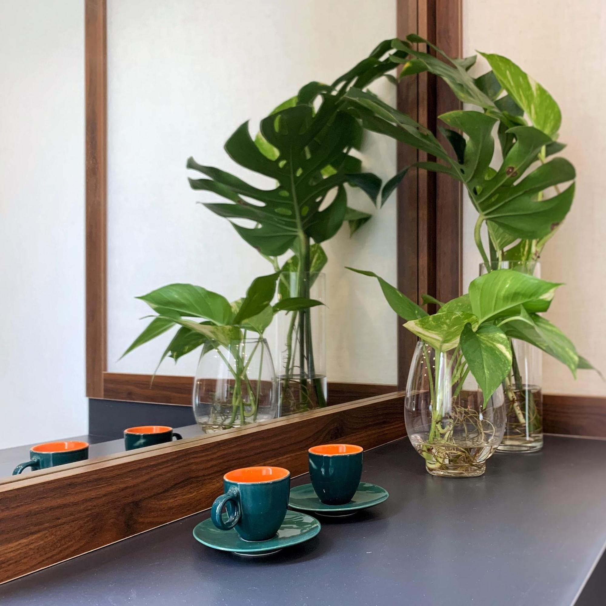 Benzen Boutique Stays-1 Min To River